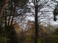 1 - Dintorni|Bed & Breakfast Antico Fienile