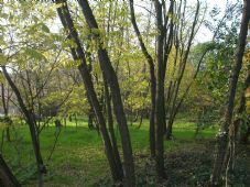2 - Dintorni|Bed & Breakfast Antico Fienile