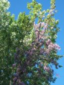3 - Antico fienile|Bed & Breakfast Antico Fienile
